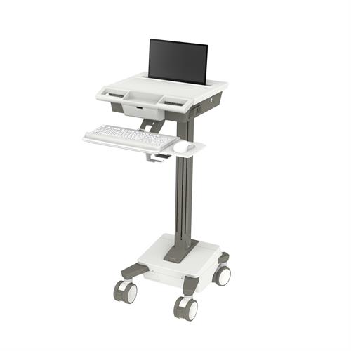 Mobile Workstations